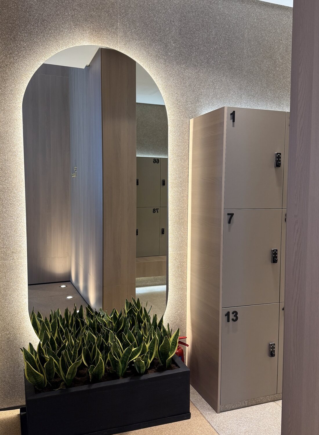An arched mirror and planting in the Vy Boutique locker room