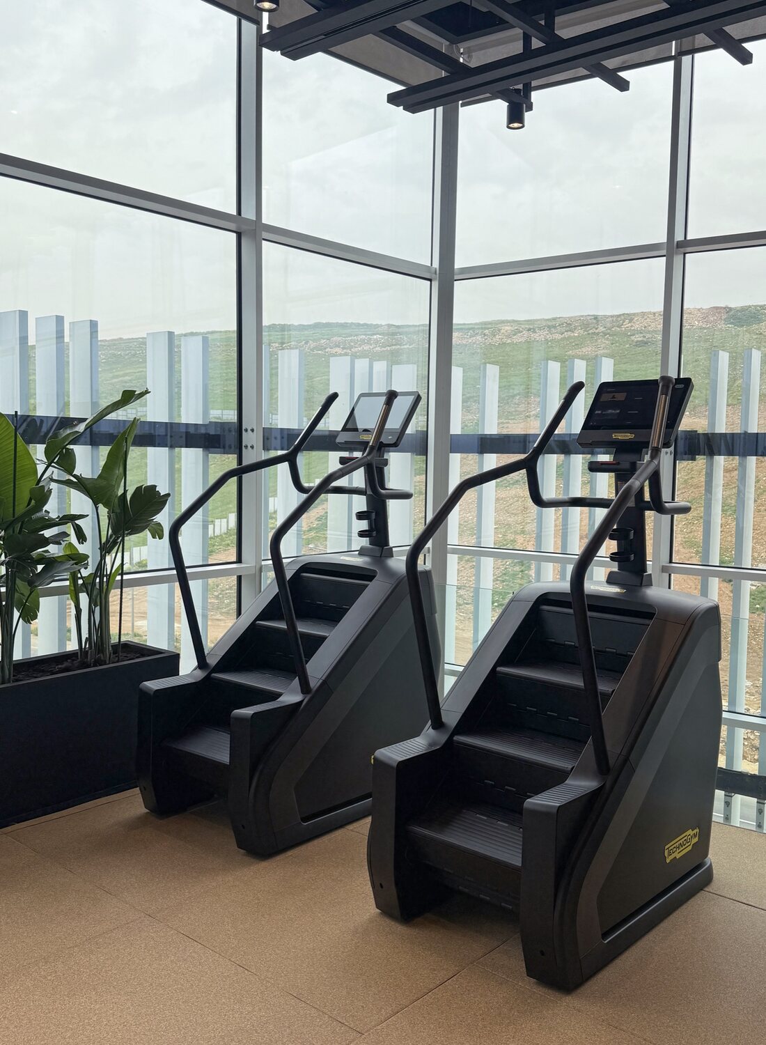 Stair climbers beside floor-to-ceiling windows